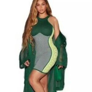 Ivy Park Brand New Park Knit Logo Dress 2X